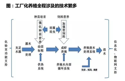 2018年生鮮供應鏈生態全景圖 新鮮蔬菜零售的變革與機遇
